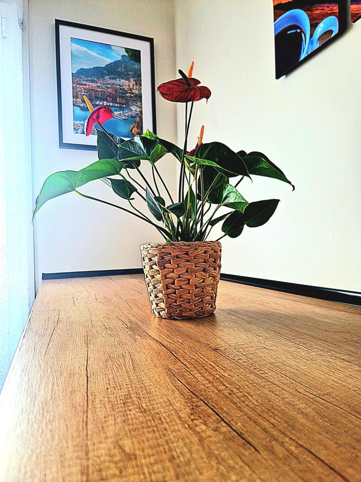 Nissalabella Apartment Ница Екстериор снимка